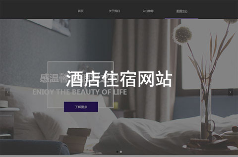 酒店住宿企業(yè)網站案例（賓館旅店行業(yè)網站案例）