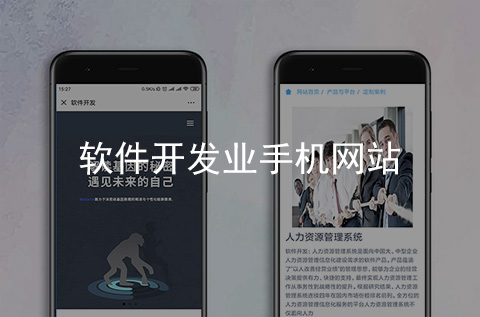 軟件開(kāi)發(fā)企業(yè)手機(jī)網(wǎng)站制作案例